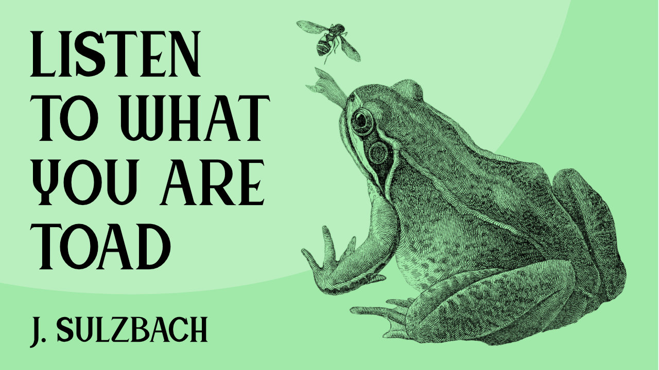 Illustration of a frog catching a fly