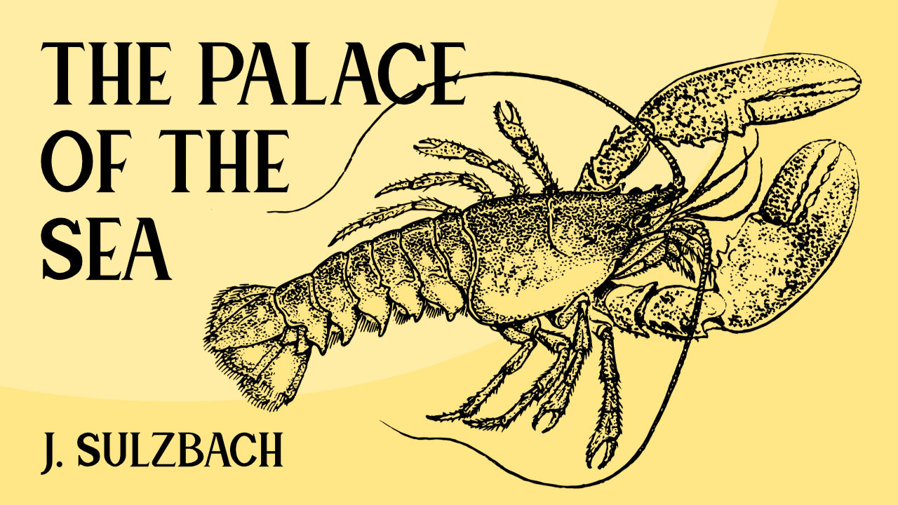 Illustration of a lobster on a yellow background