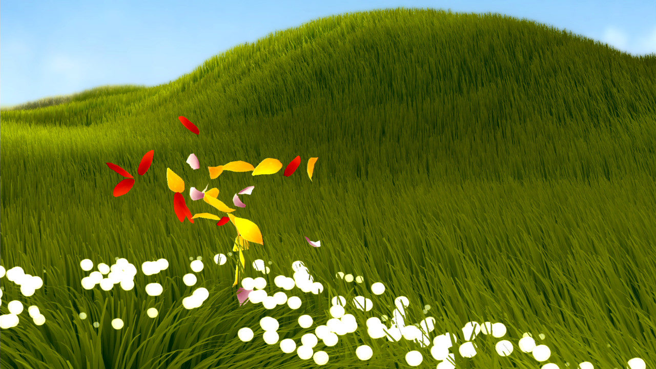 A grassy field with flower petals