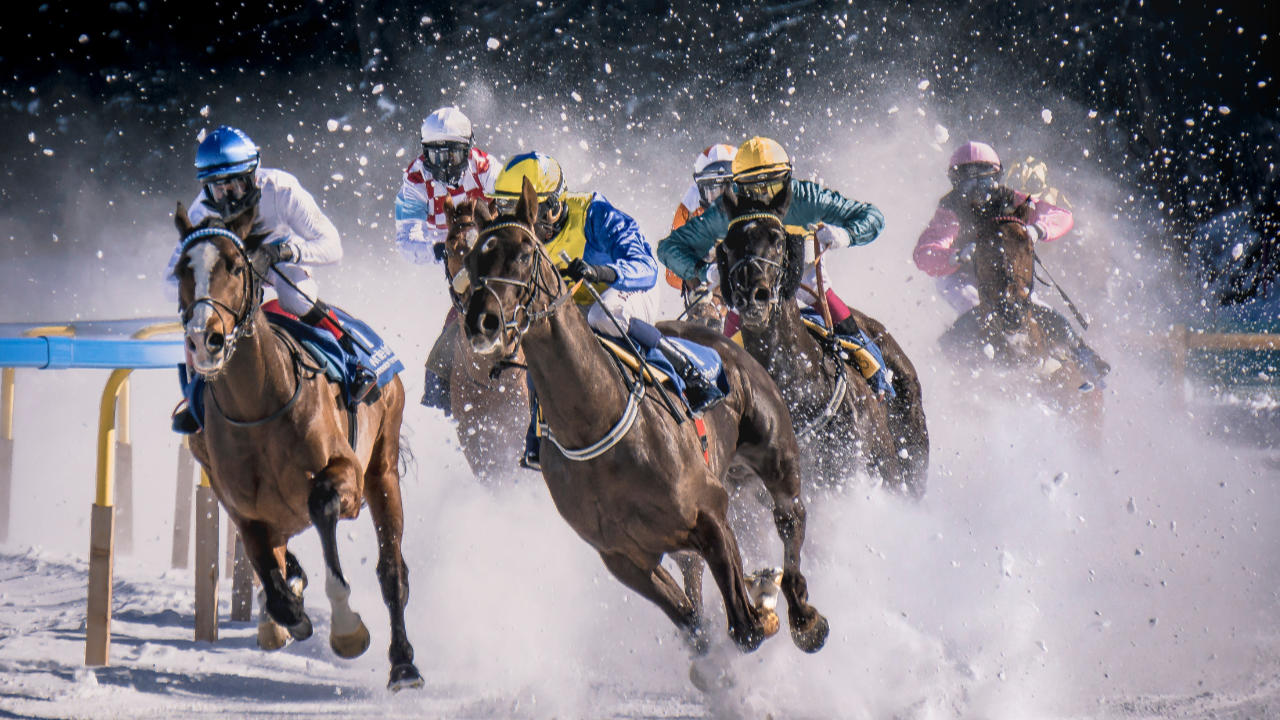 Four horses and riders in a heated race